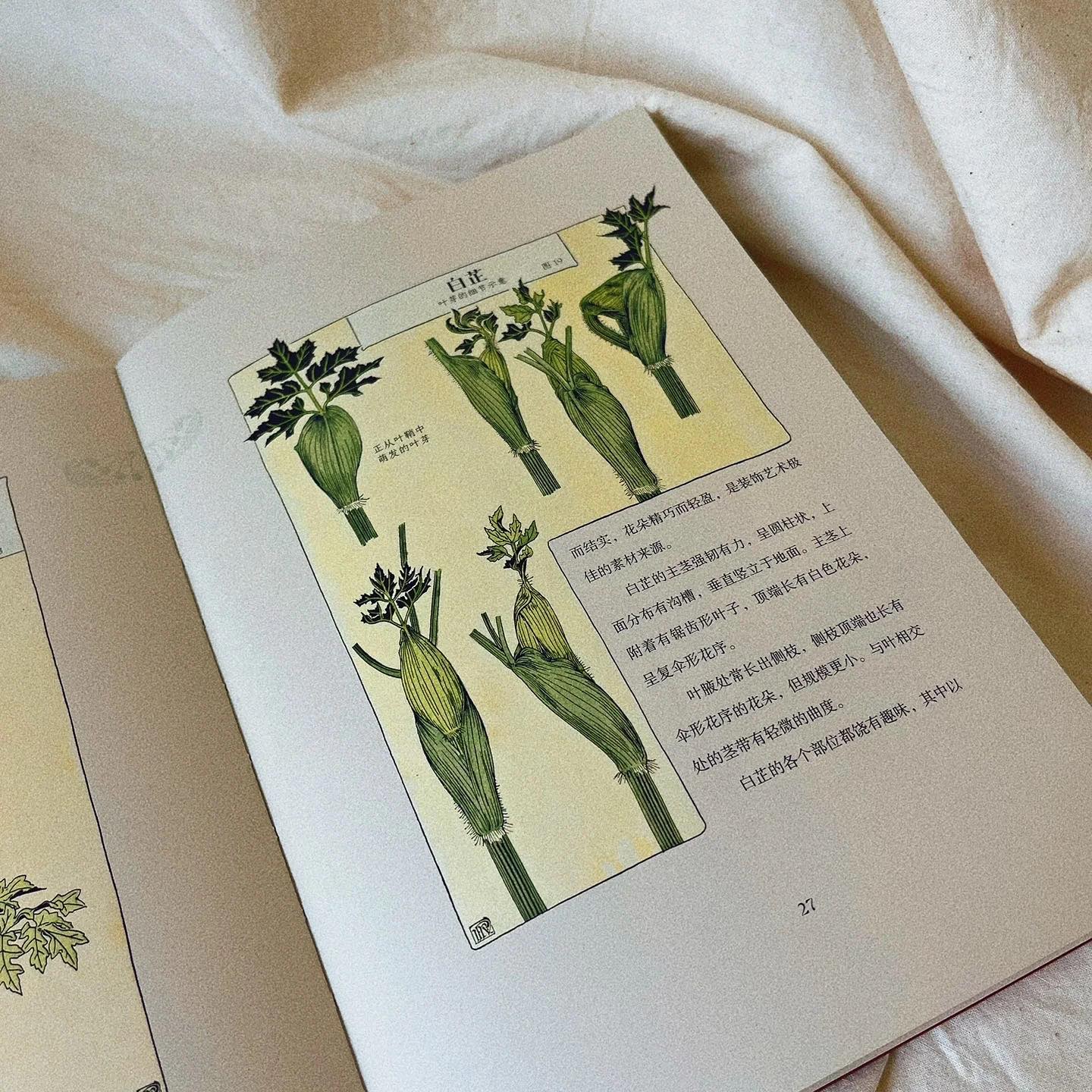 万物有文
