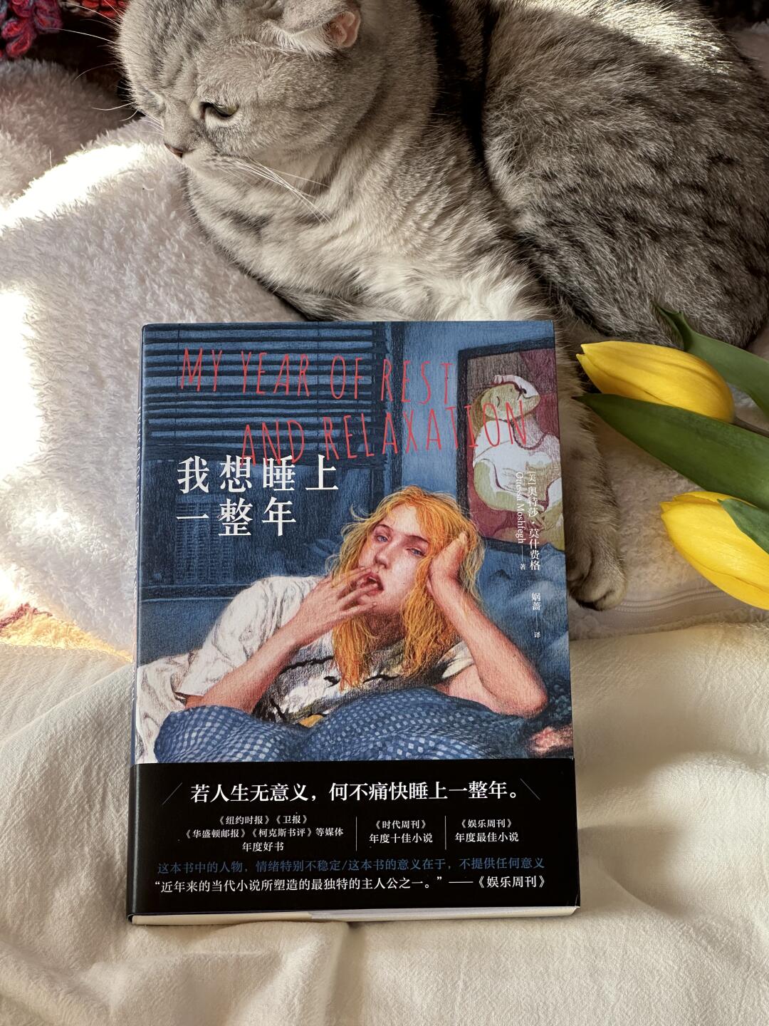 我想睡上一整年