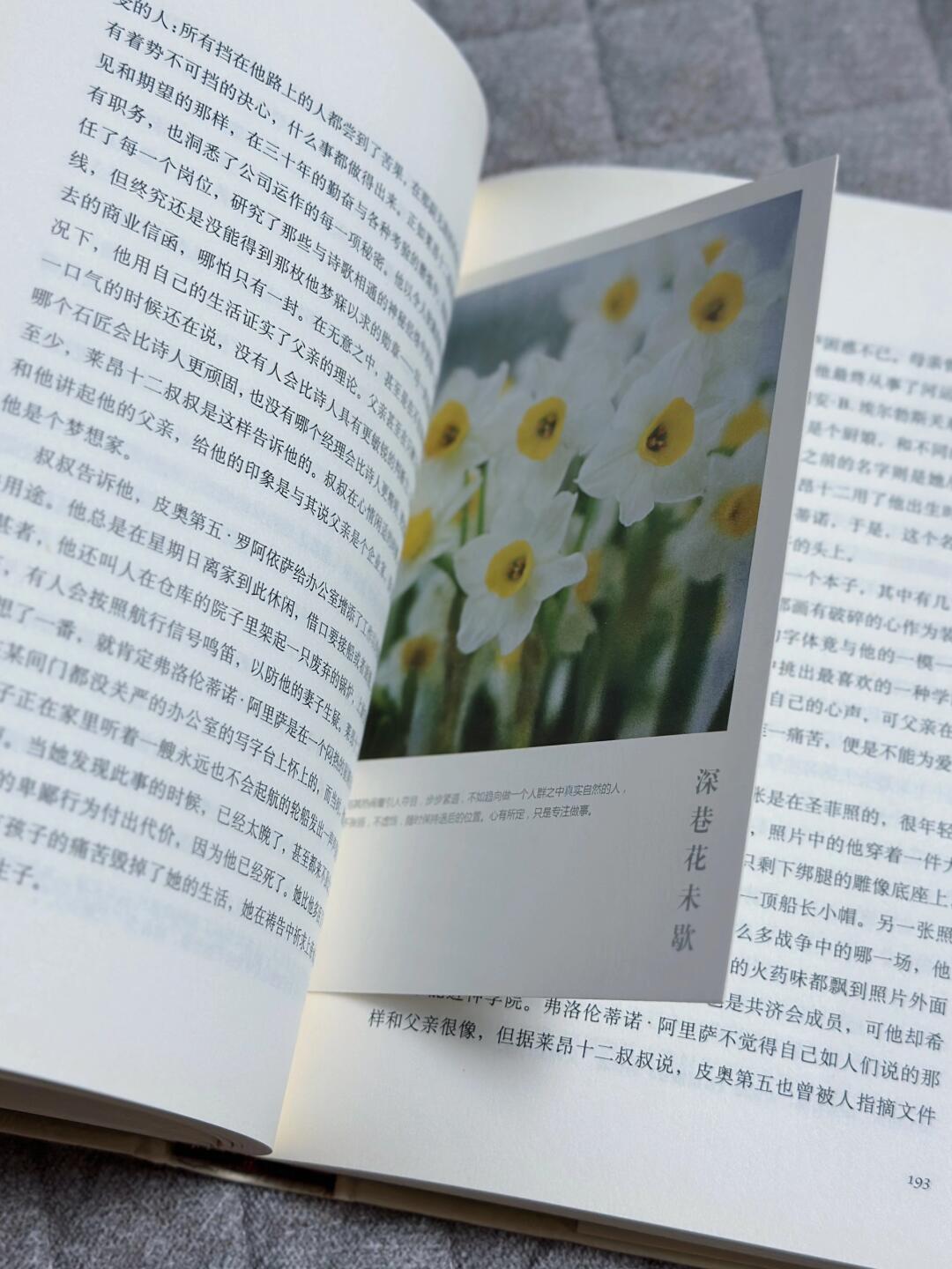 霍乱时期的爱情