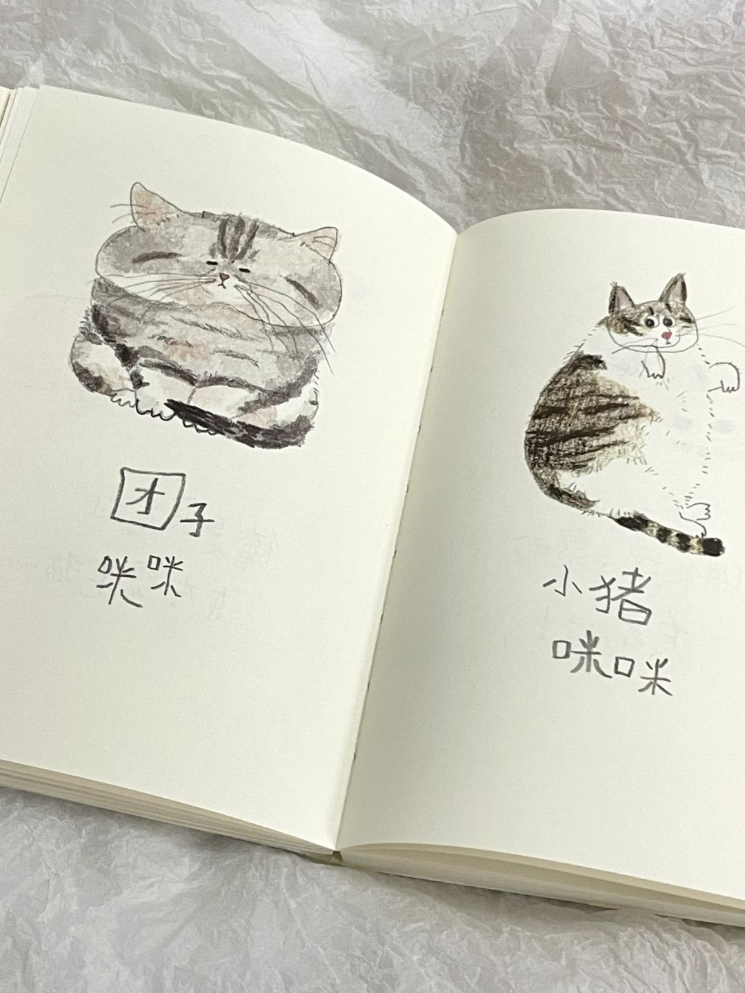 喂!你家的猫跑出来啦