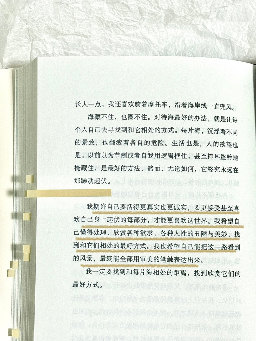 皮囊