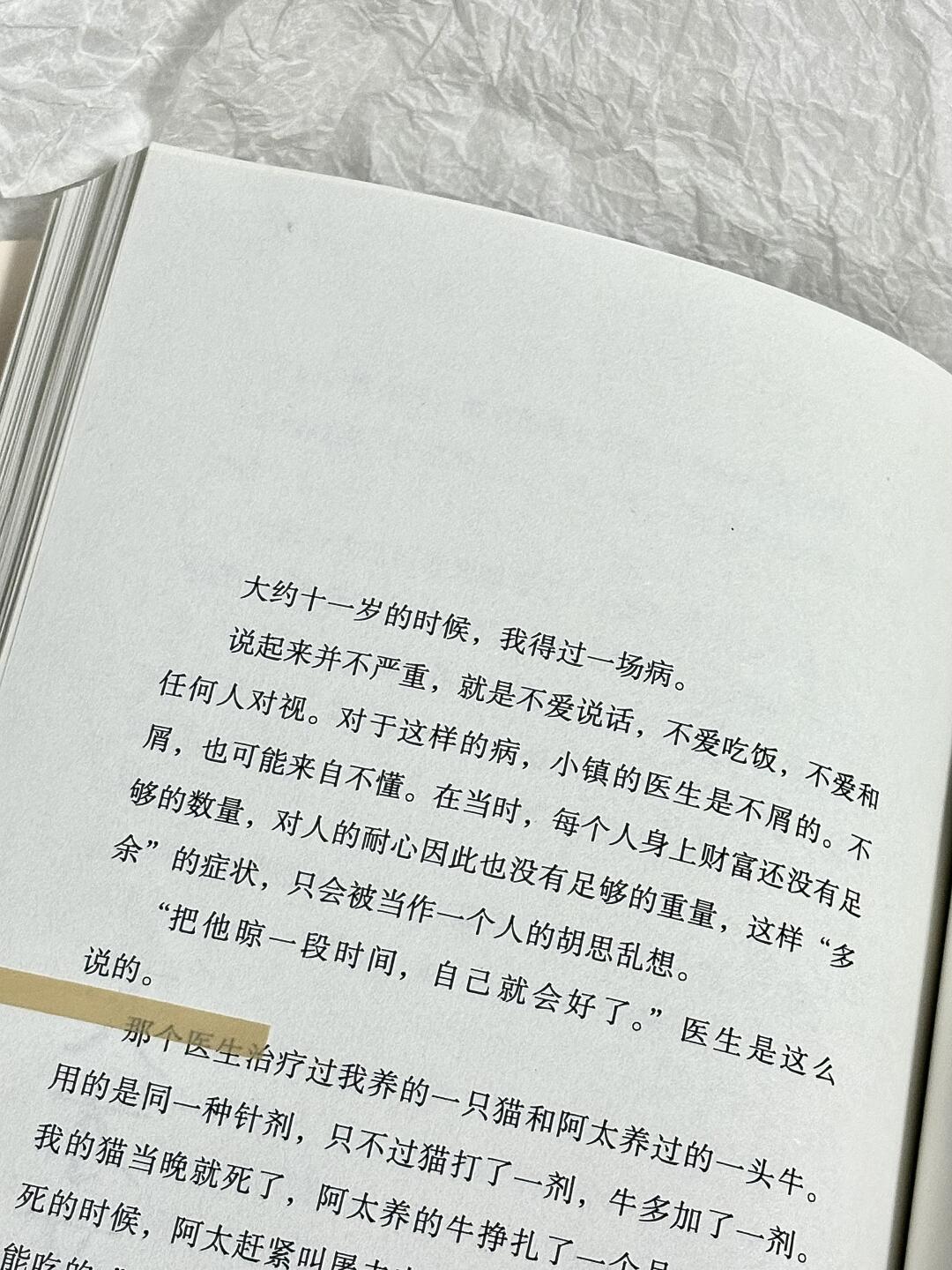 皮囊