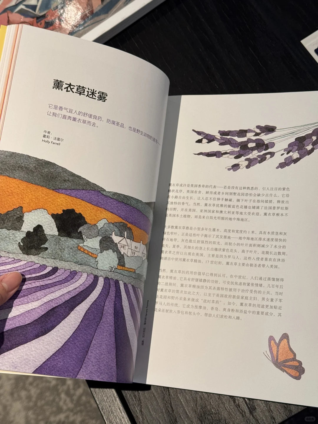 成功以外的长期主义