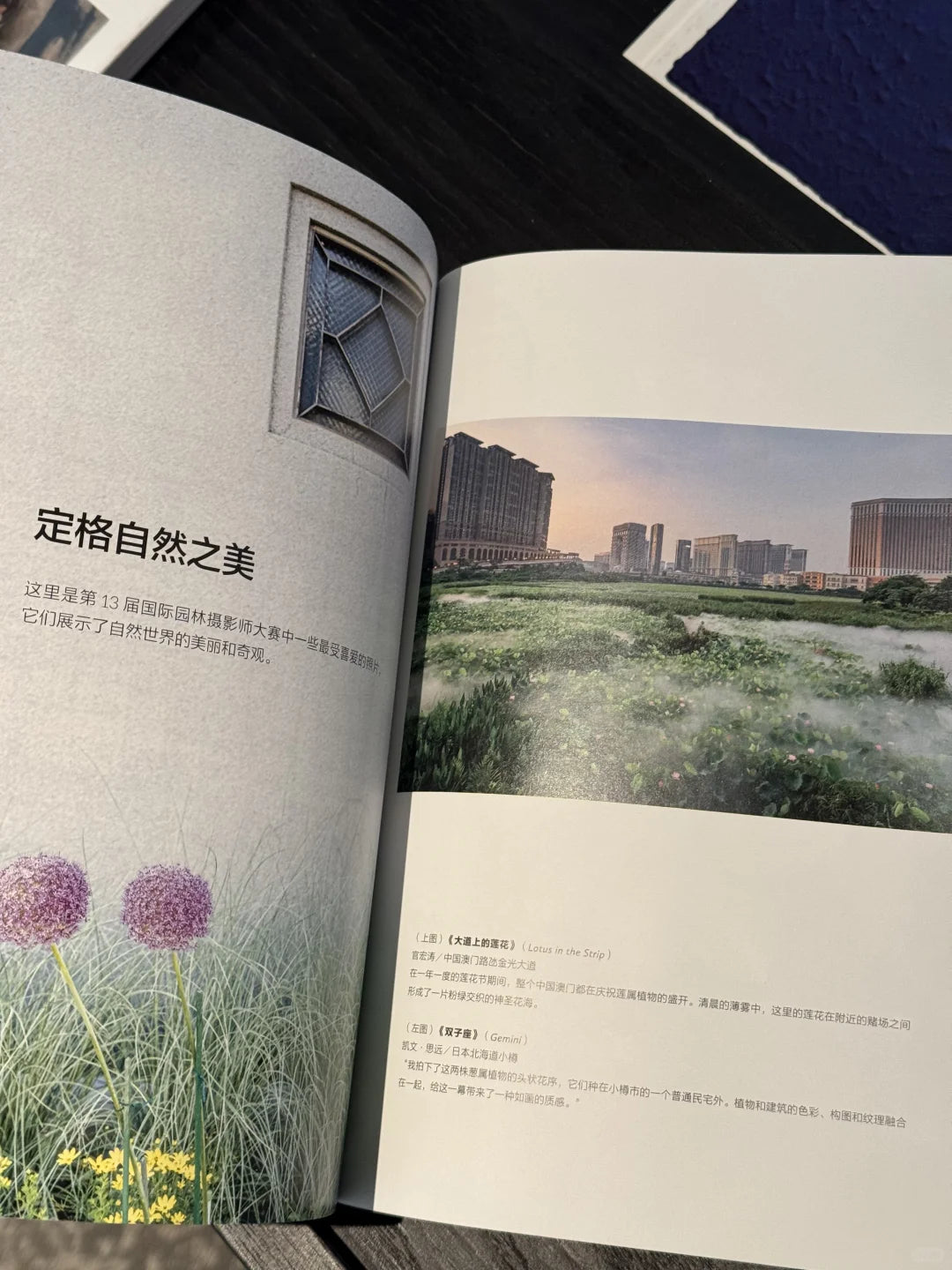 成功以外的长期主义