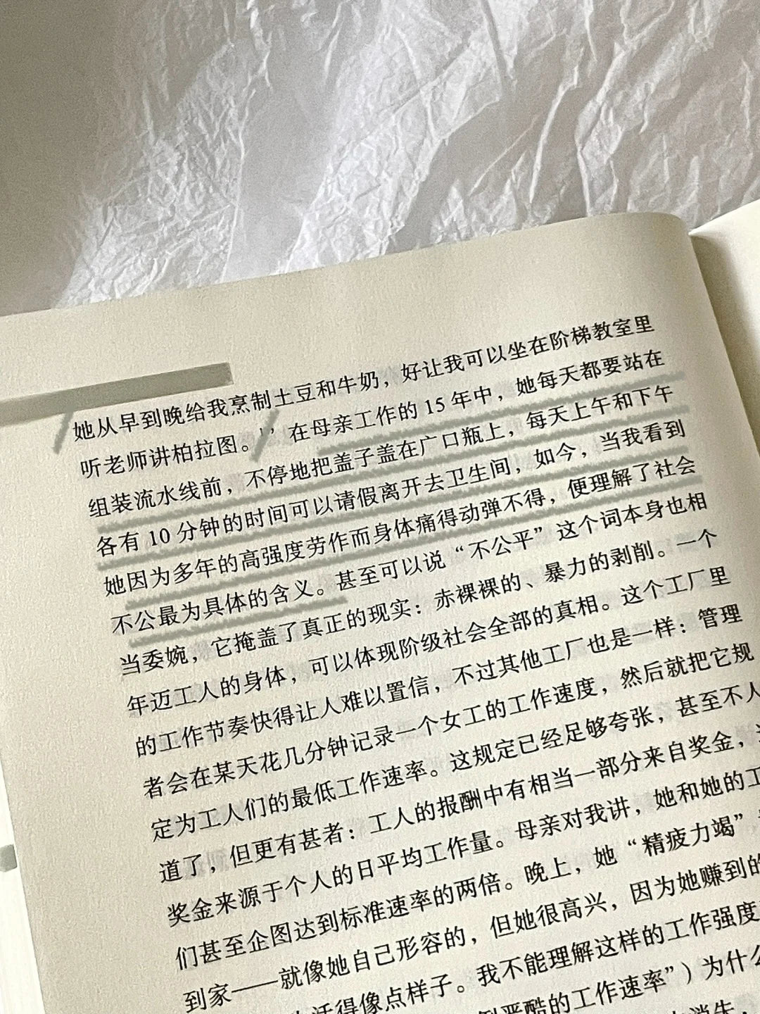 回归故里