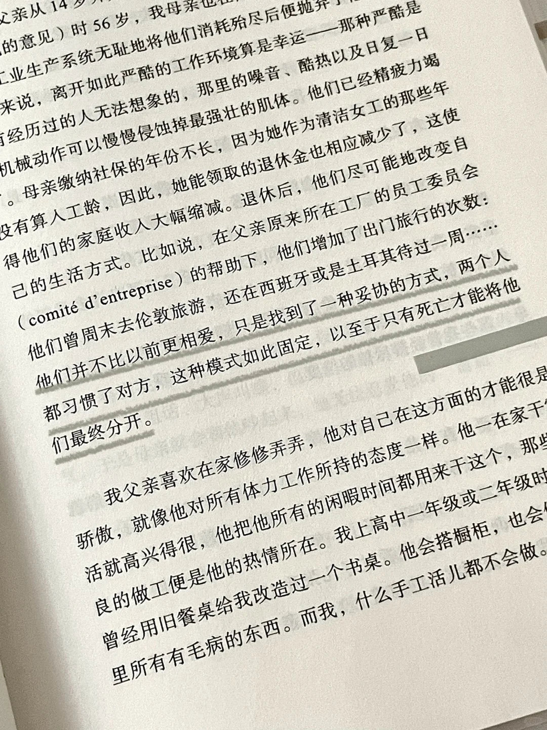 回归故里