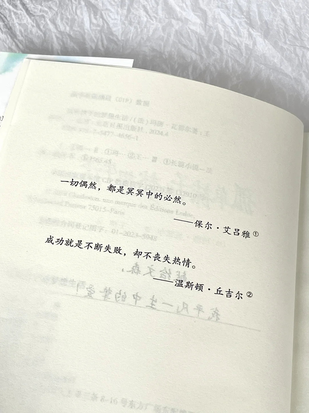 孤单袜子的梦想生活