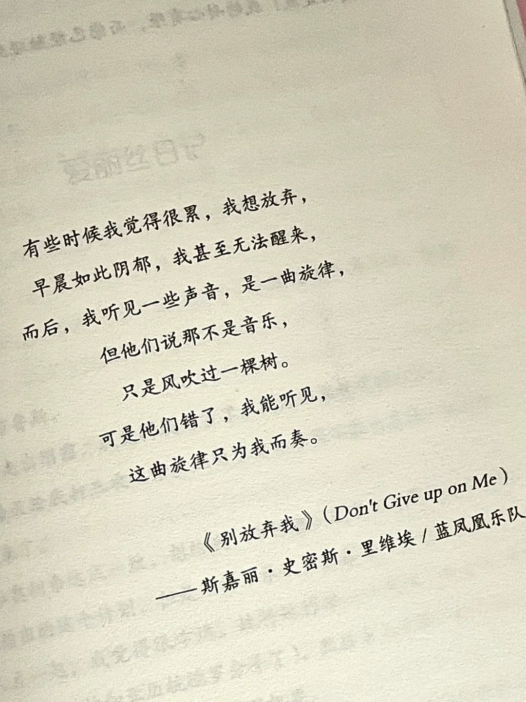 孤单袜子的梦想生活