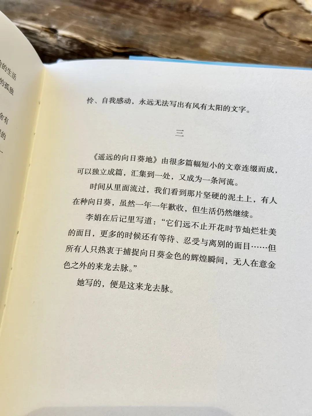读书的人