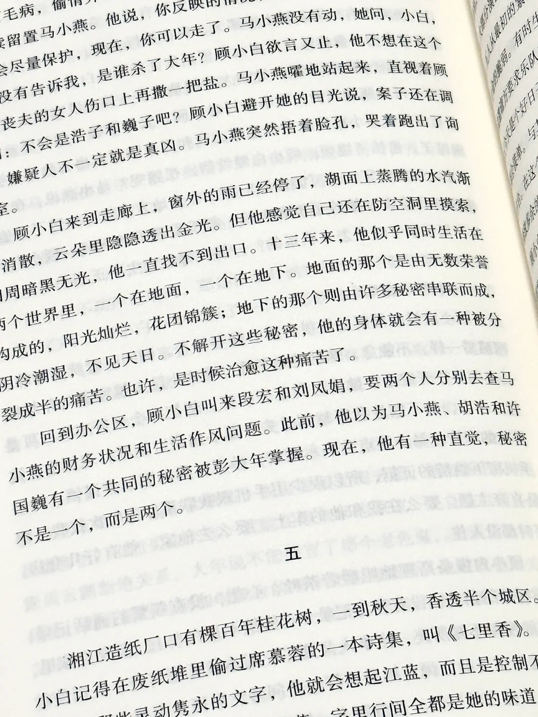 谋杀夏天