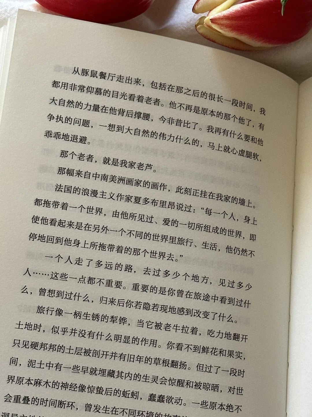 去看看远方,趁星辰还亮