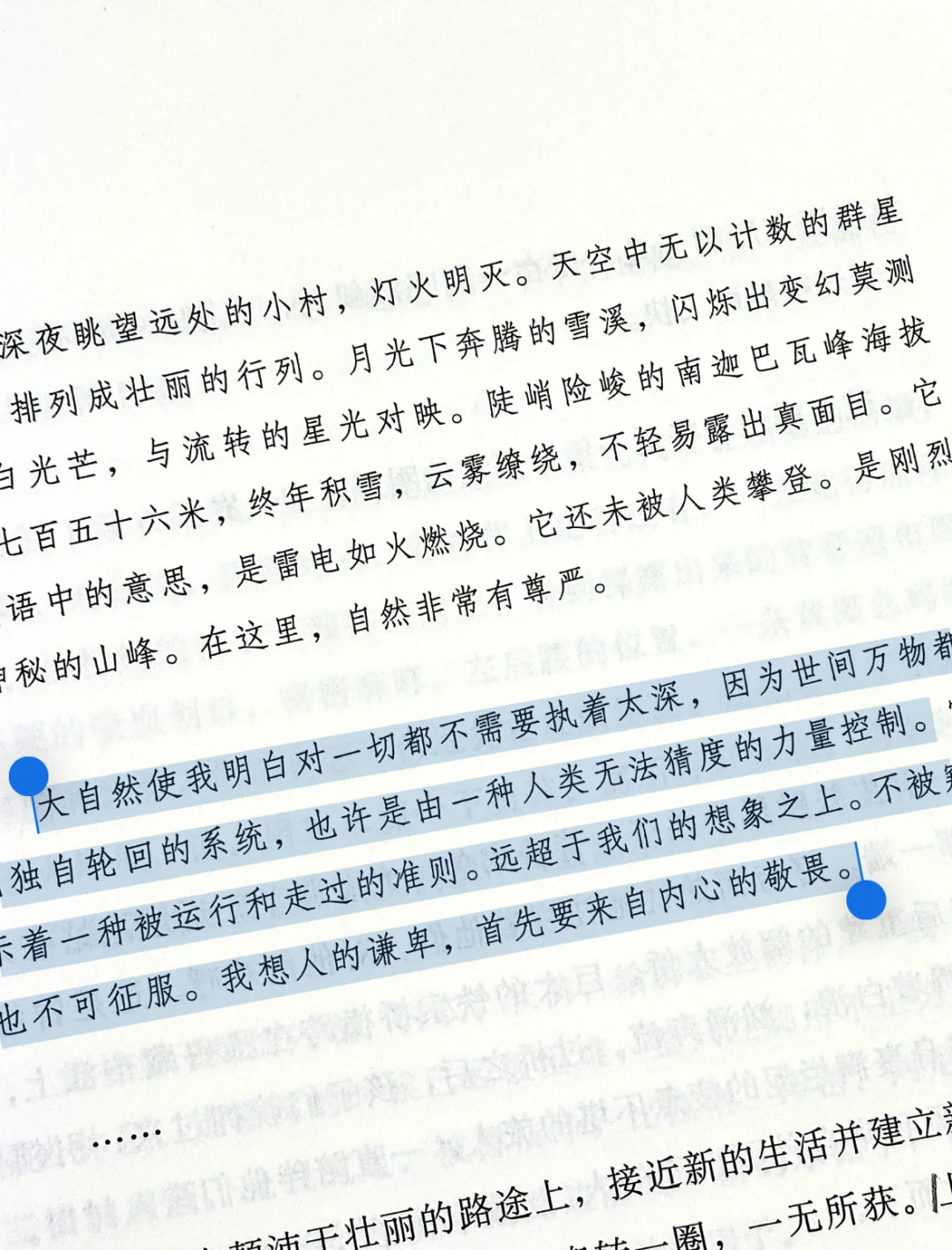 莲花