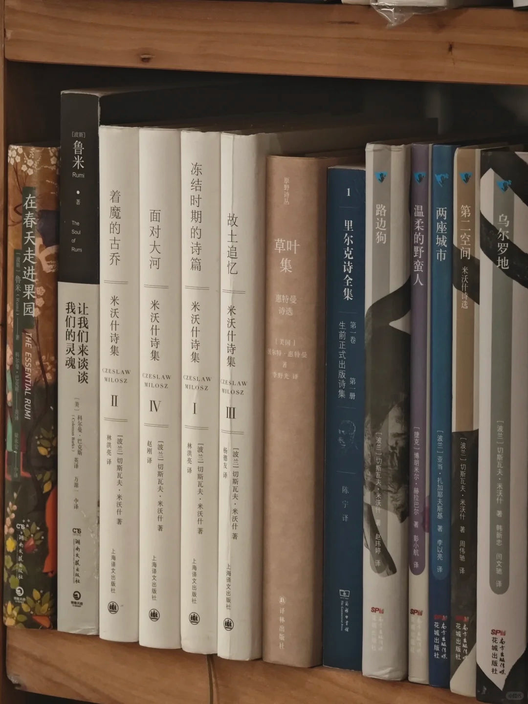 如何阅读新诗