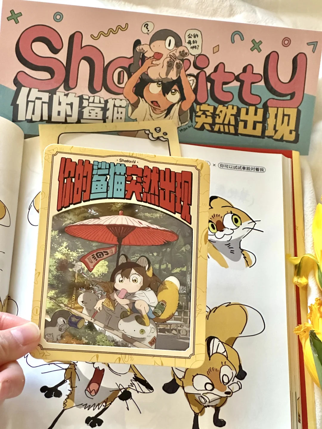 你的鲨猫突然出现