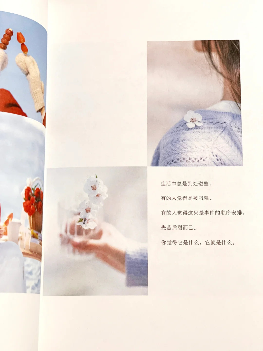 这世界喜欢晴朗的人