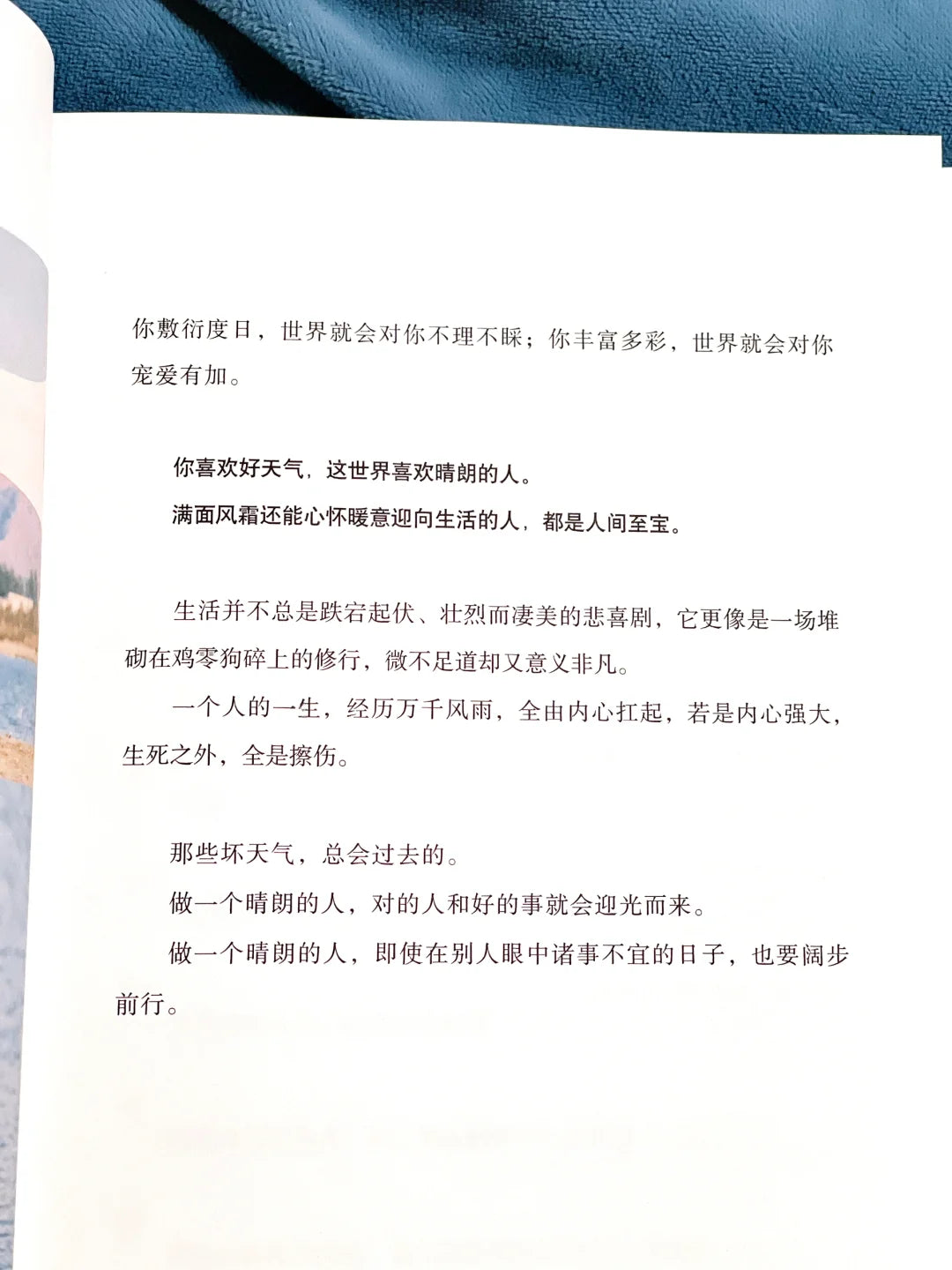这世界喜欢晴朗的人