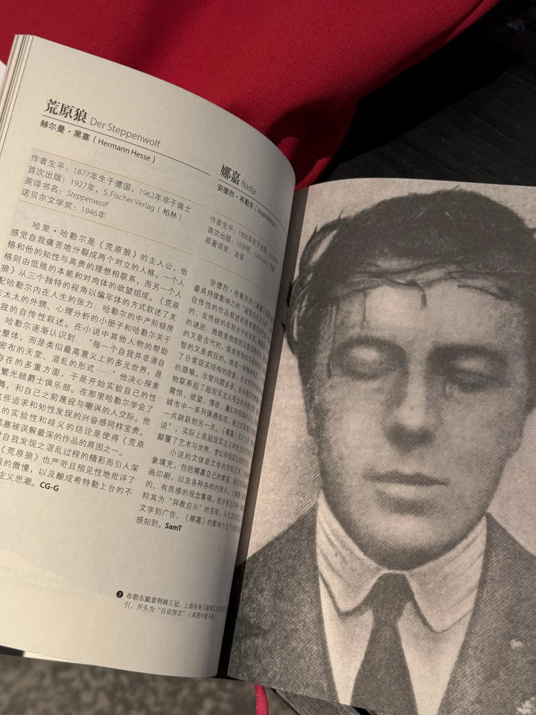 有生之年一定要读的1001本书