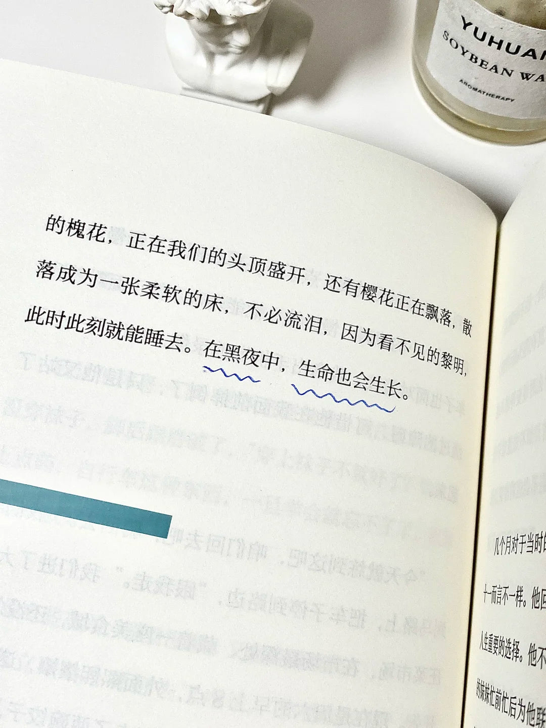 钓蛤蟆的少年