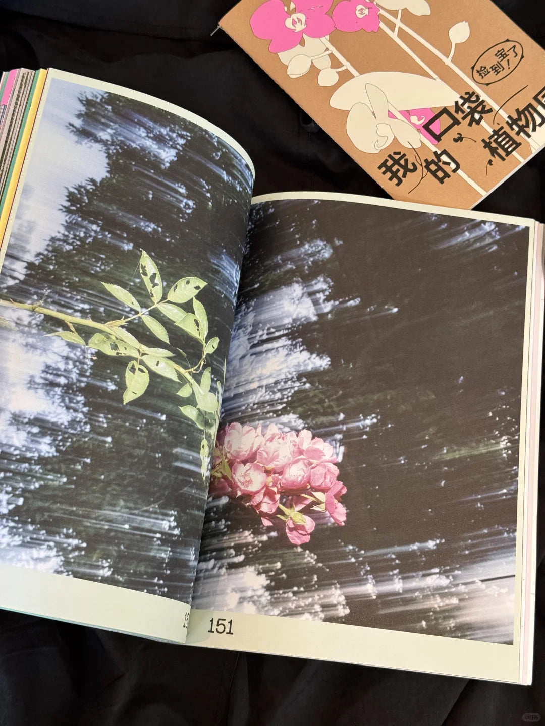 去植物园逛逛吧
