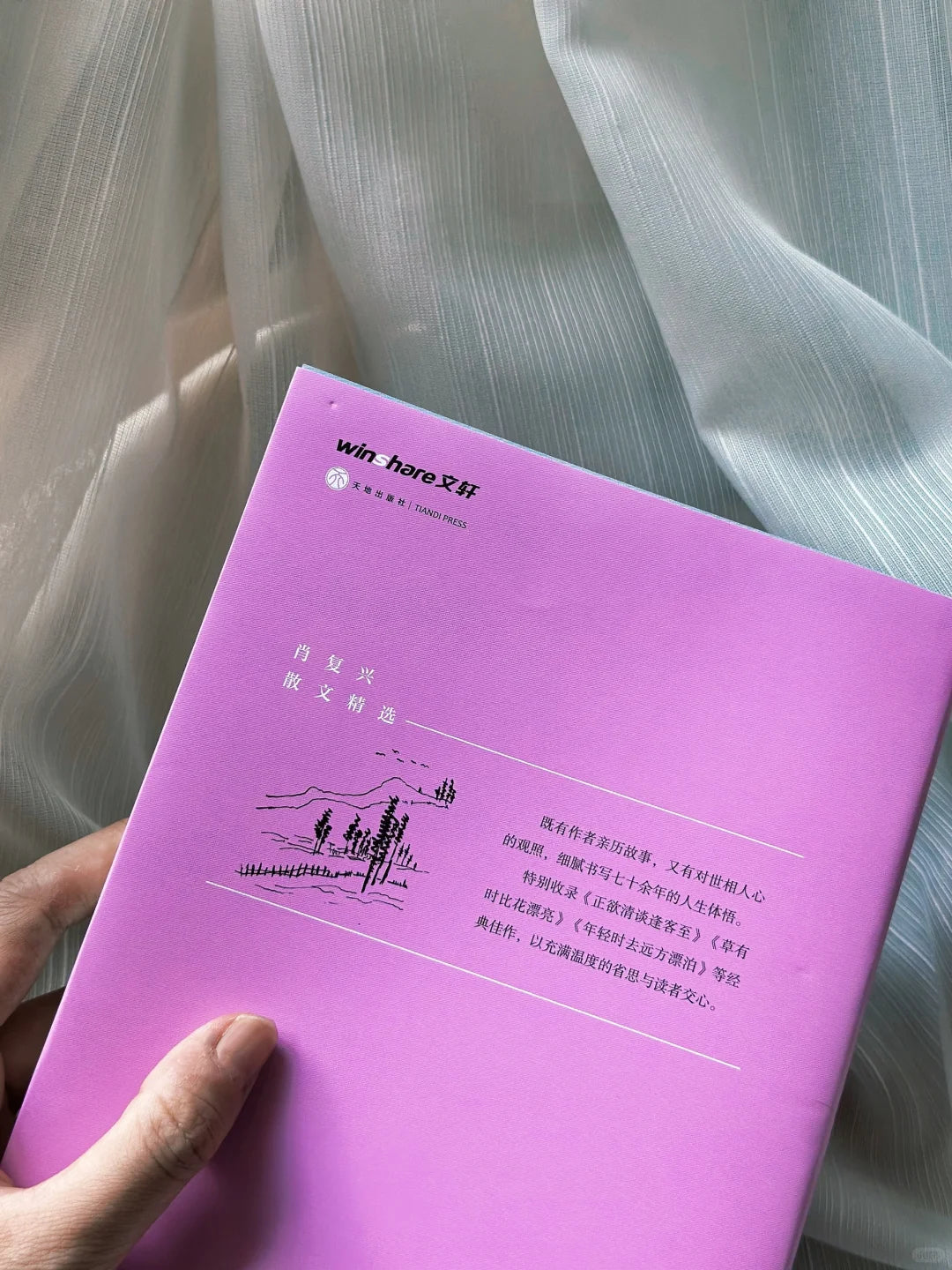 当时只道是寻常