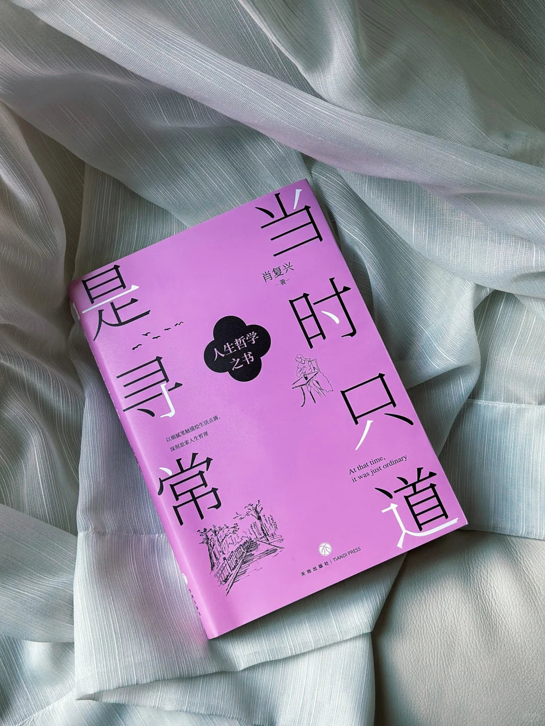 当时只道是寻常