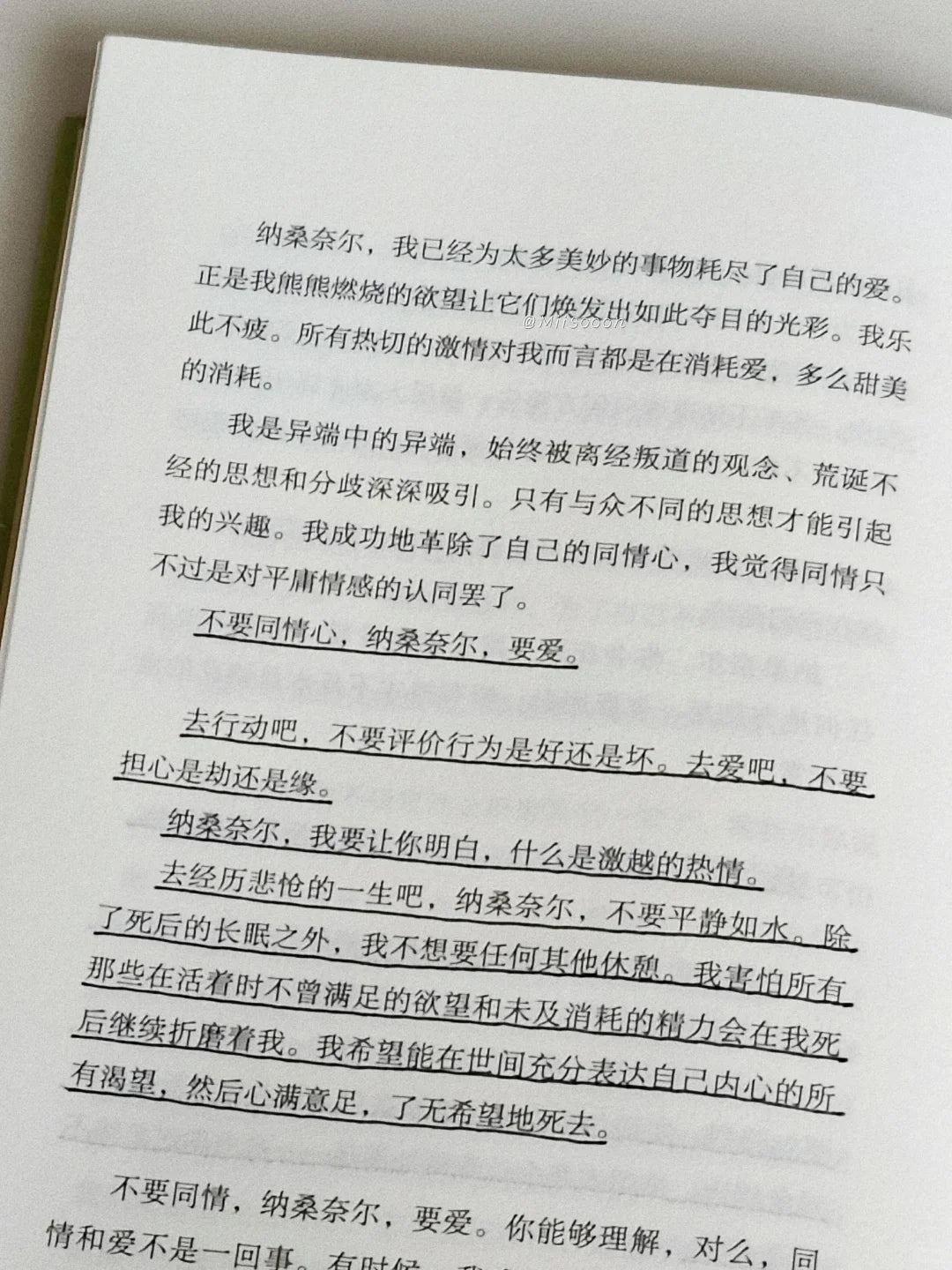 人间食粮