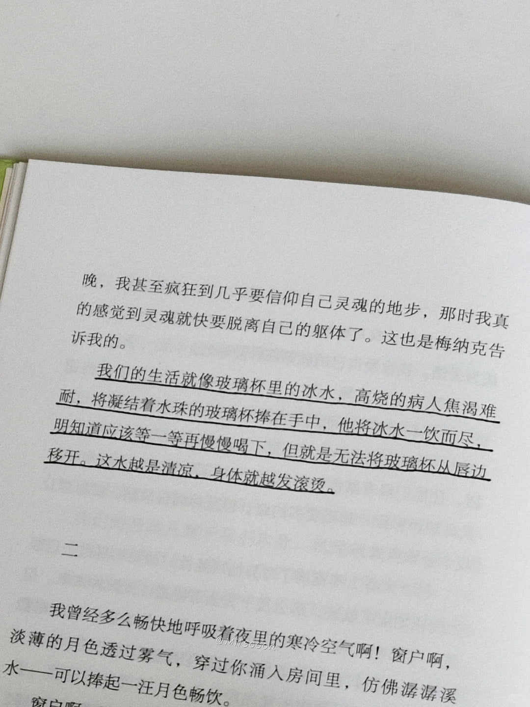 人间食粮