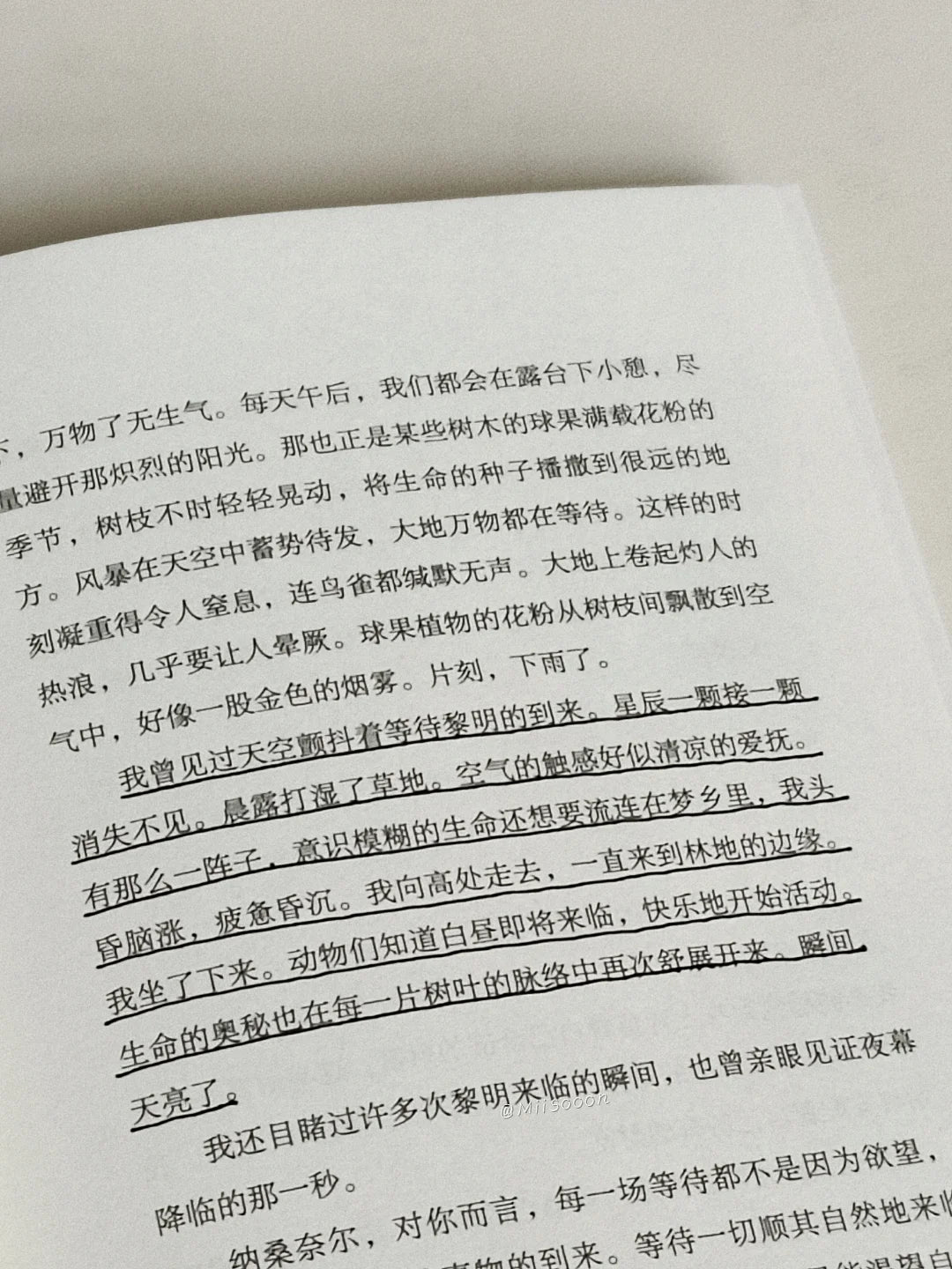 人间食粮