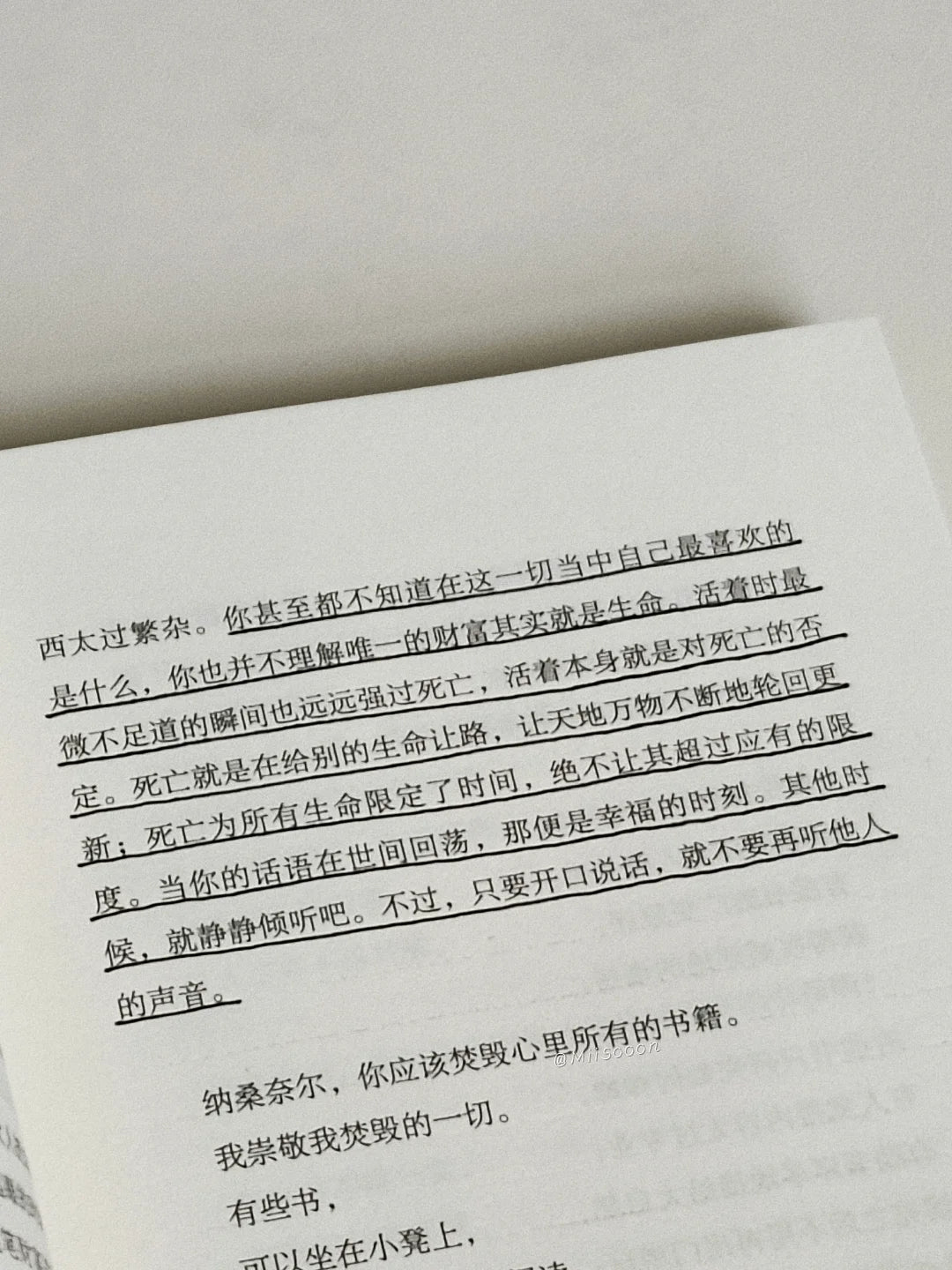 人间食粮