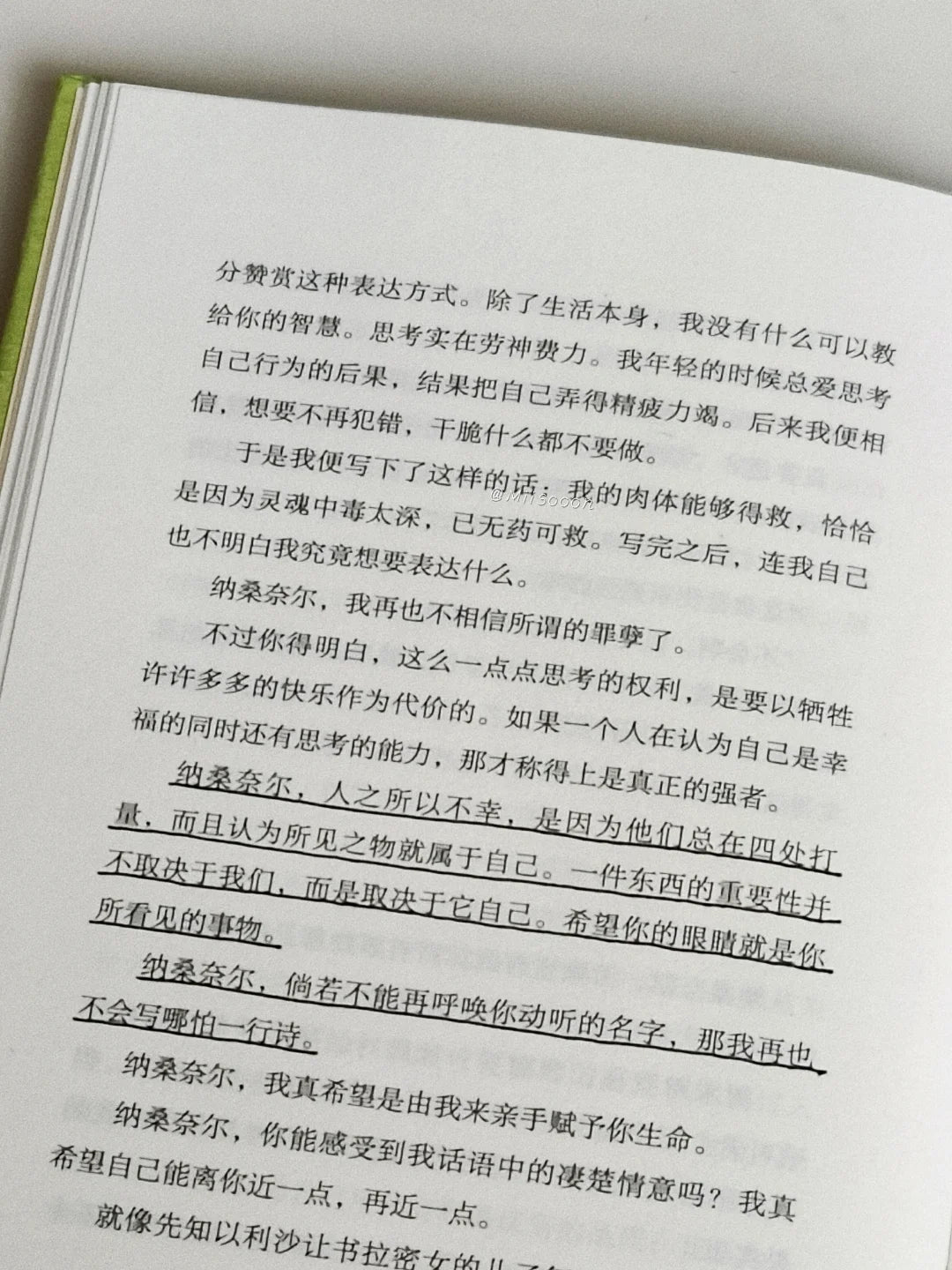 人间食粮