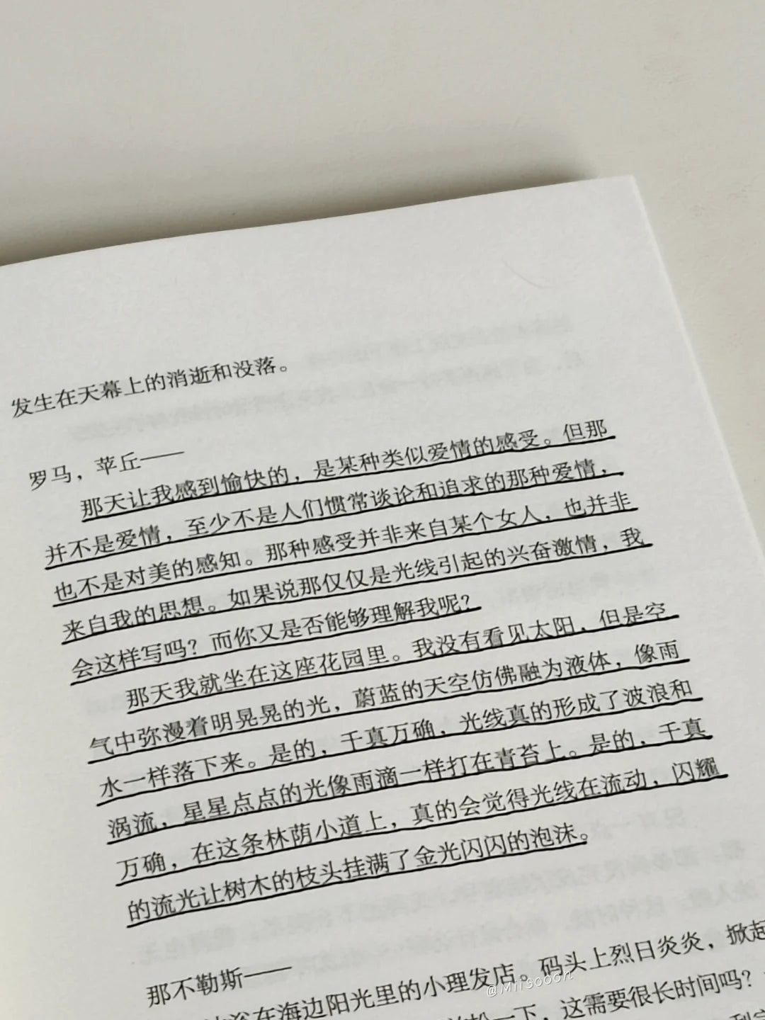 人间食粮