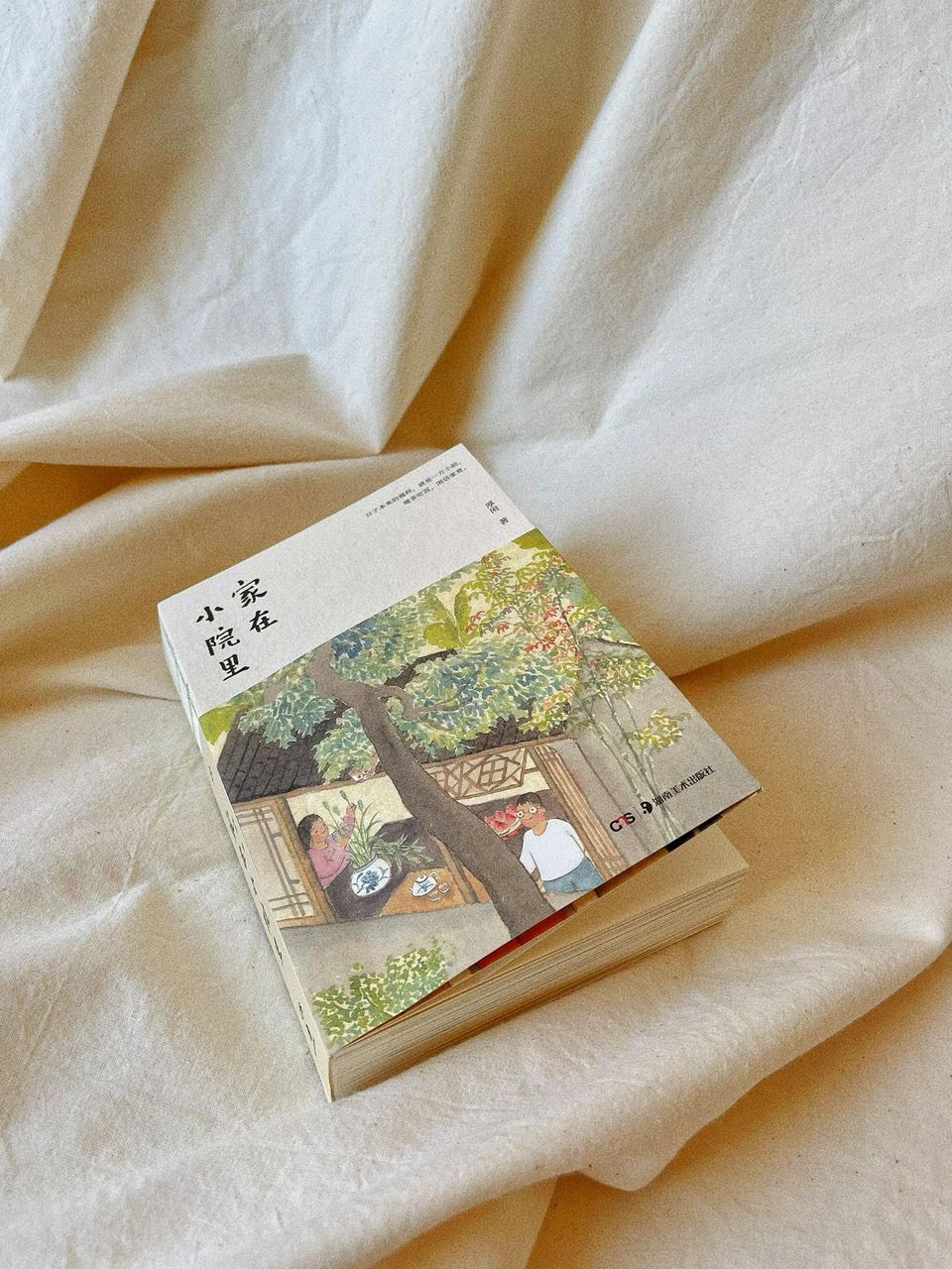 家在小院里