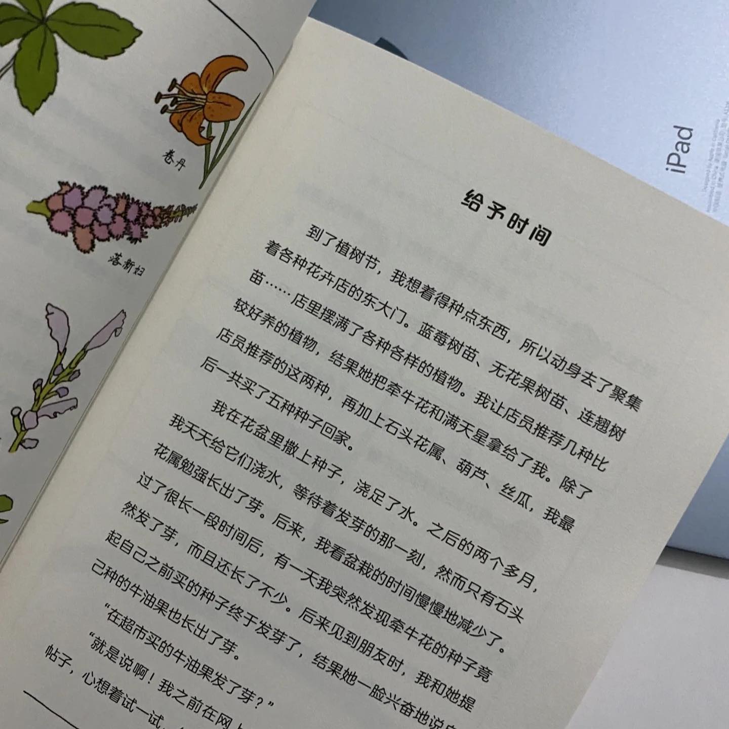 (Ready Stock) 我决定给自己一点时间