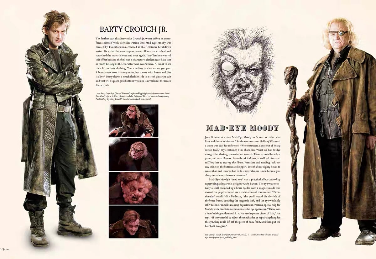 Harry Potter Page To Screen
