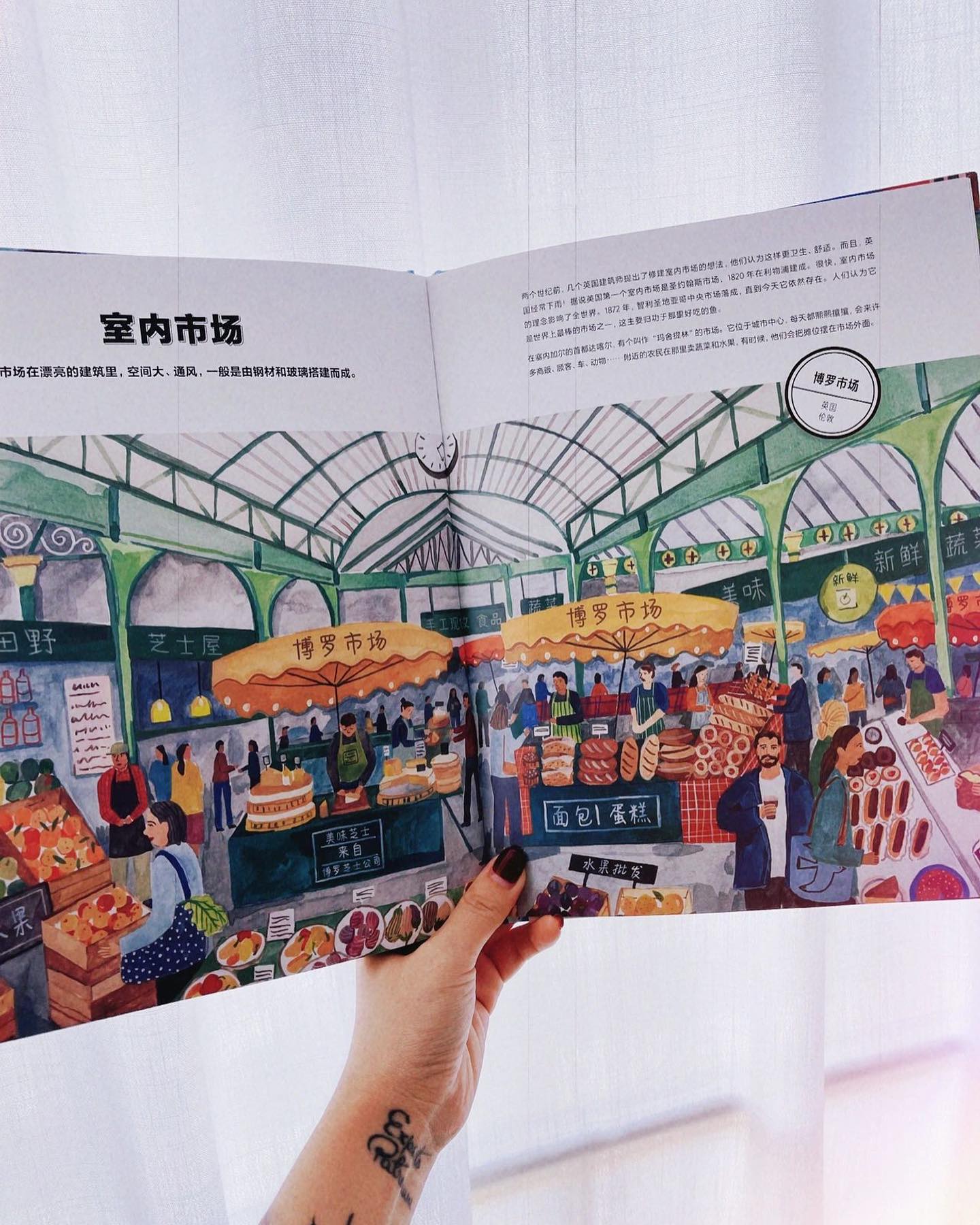 世界各地的市场
