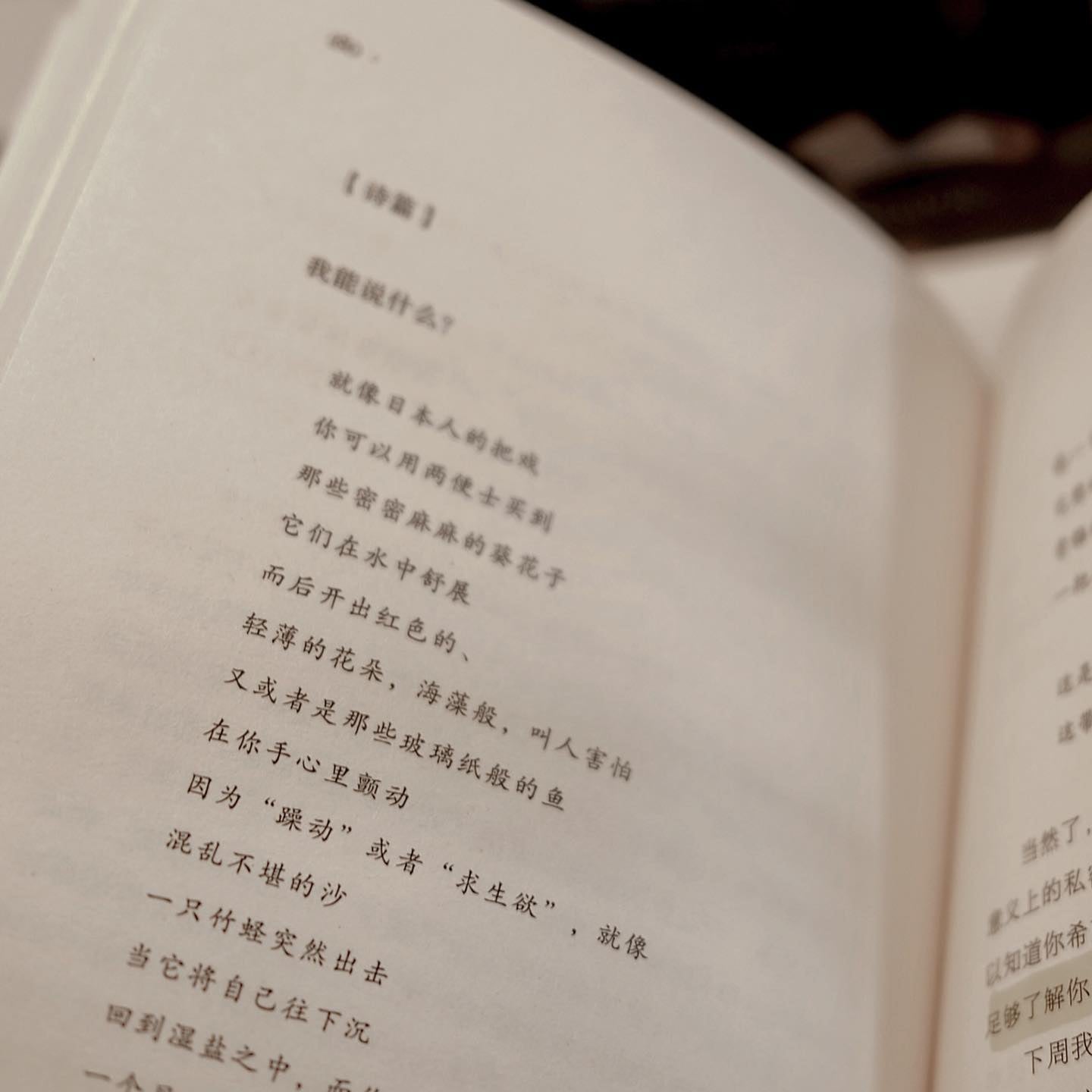 相约博物馆