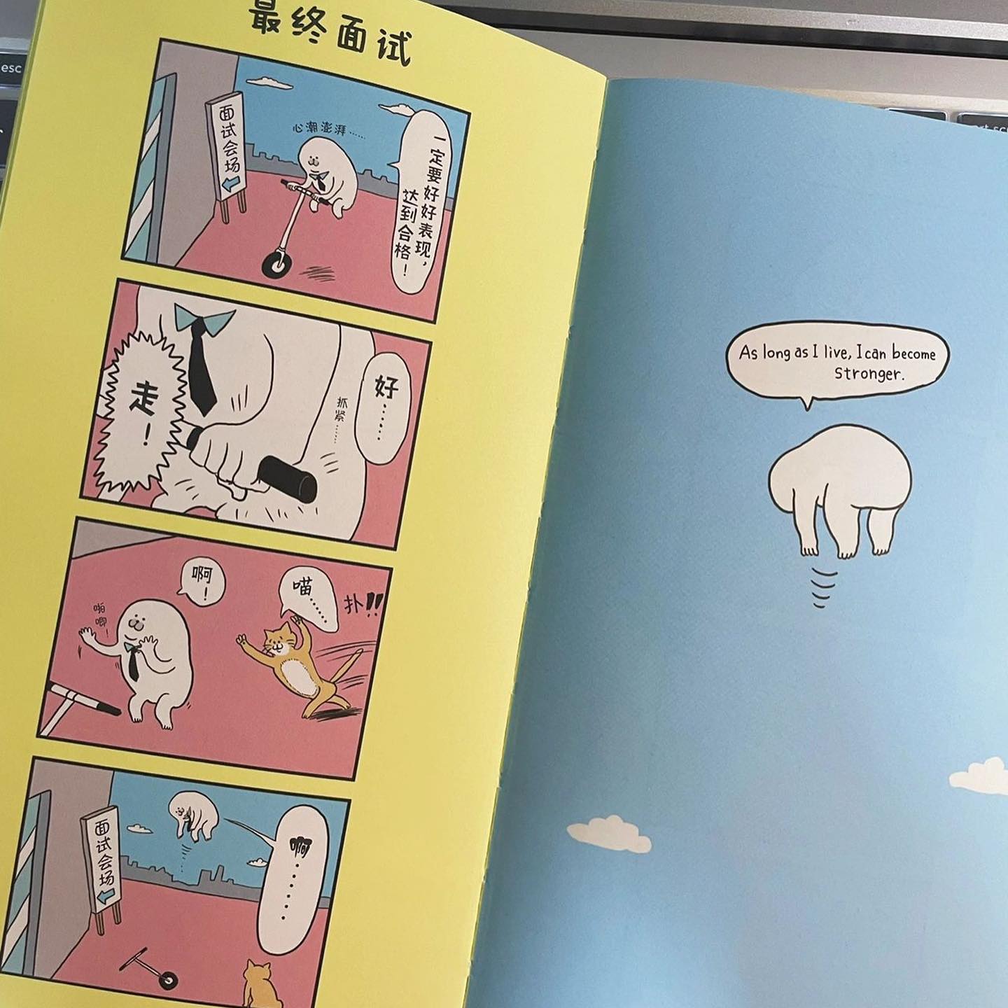 不抓住什么就会飞走的海豹君