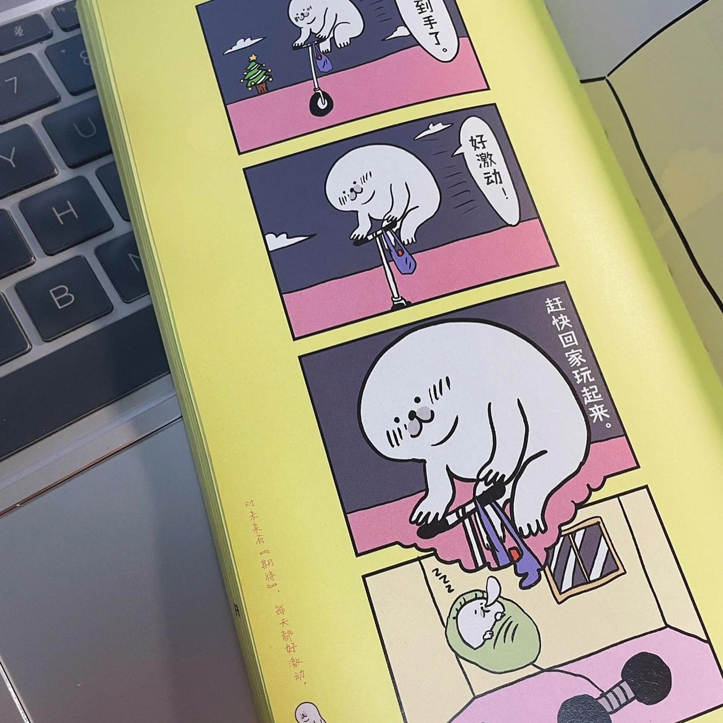 不抓住什么就会飞走的海豹君