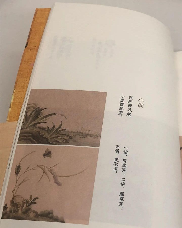 桃花与蟹