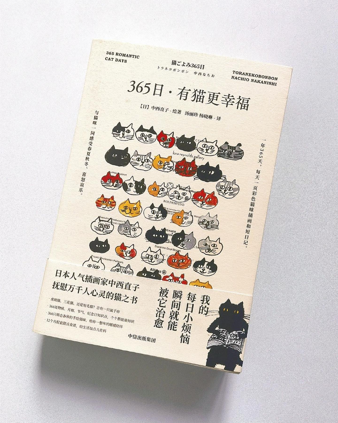 365日:有猫更幸福