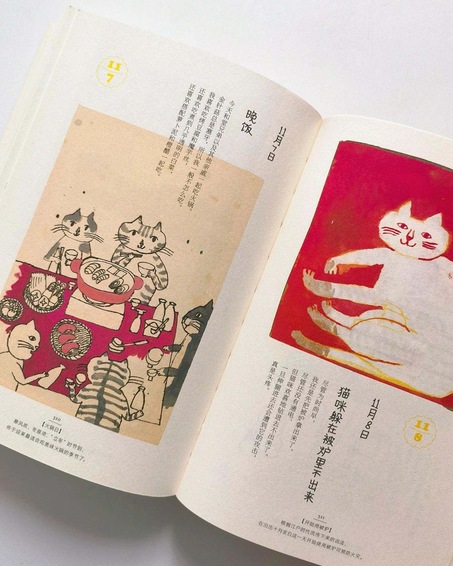 365日:有猫更幸福