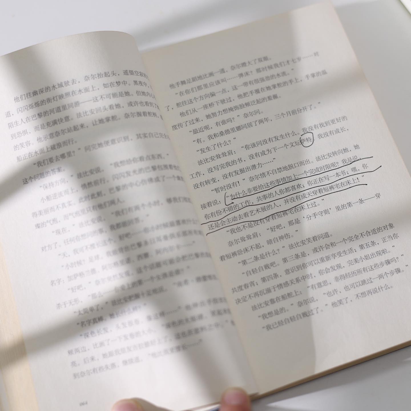 一个人的巴黎
