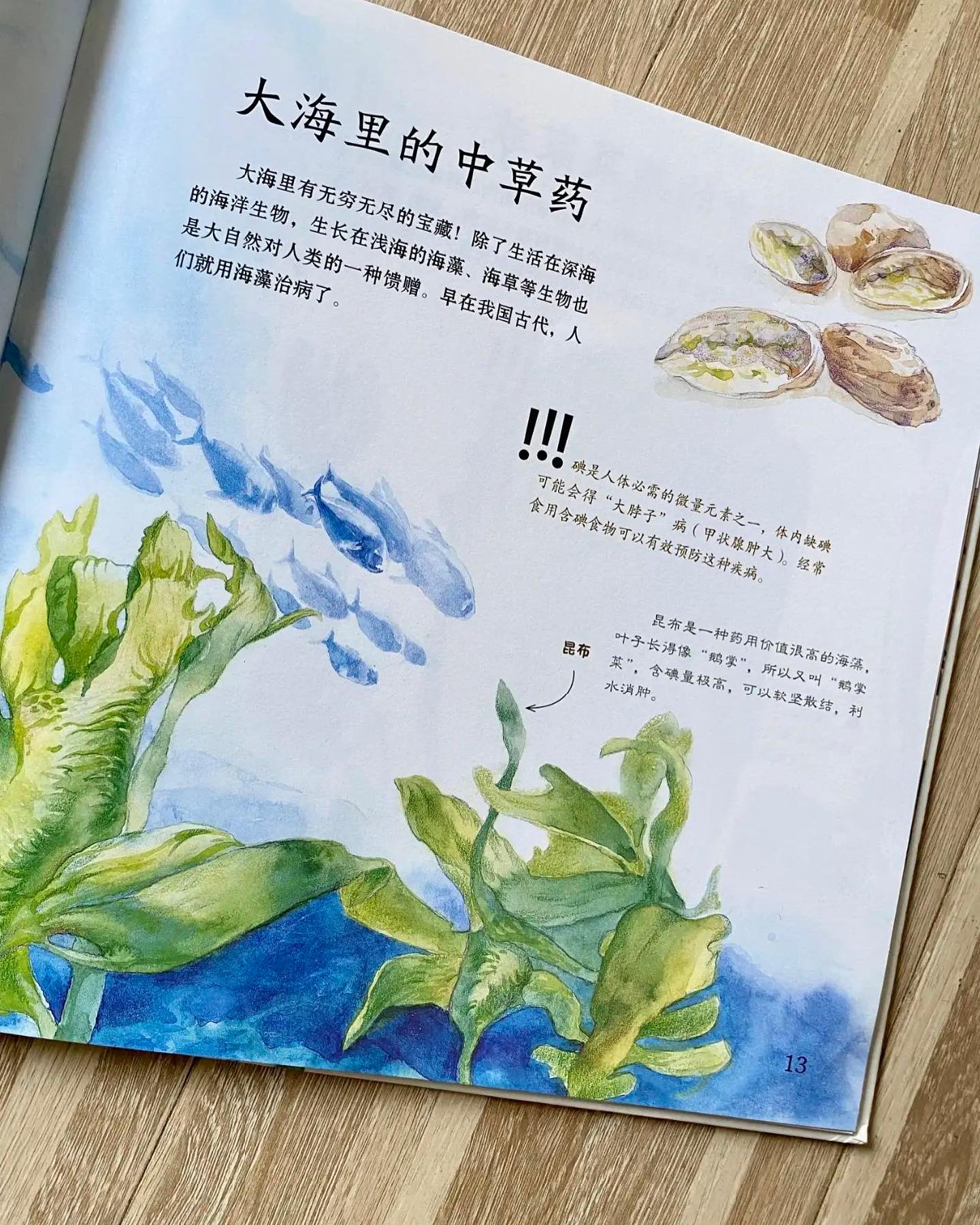 噢!中草药