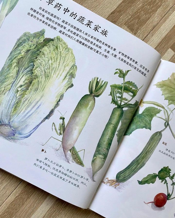 噢!中草药