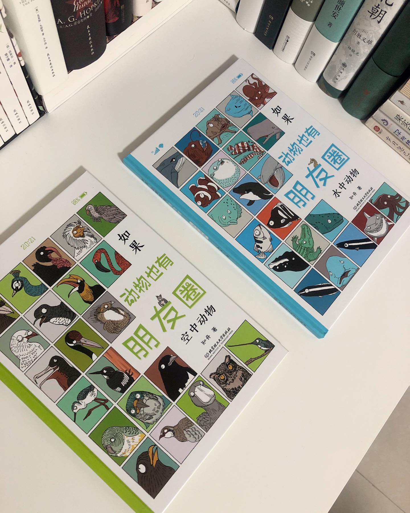 如果动物也有朋友圈