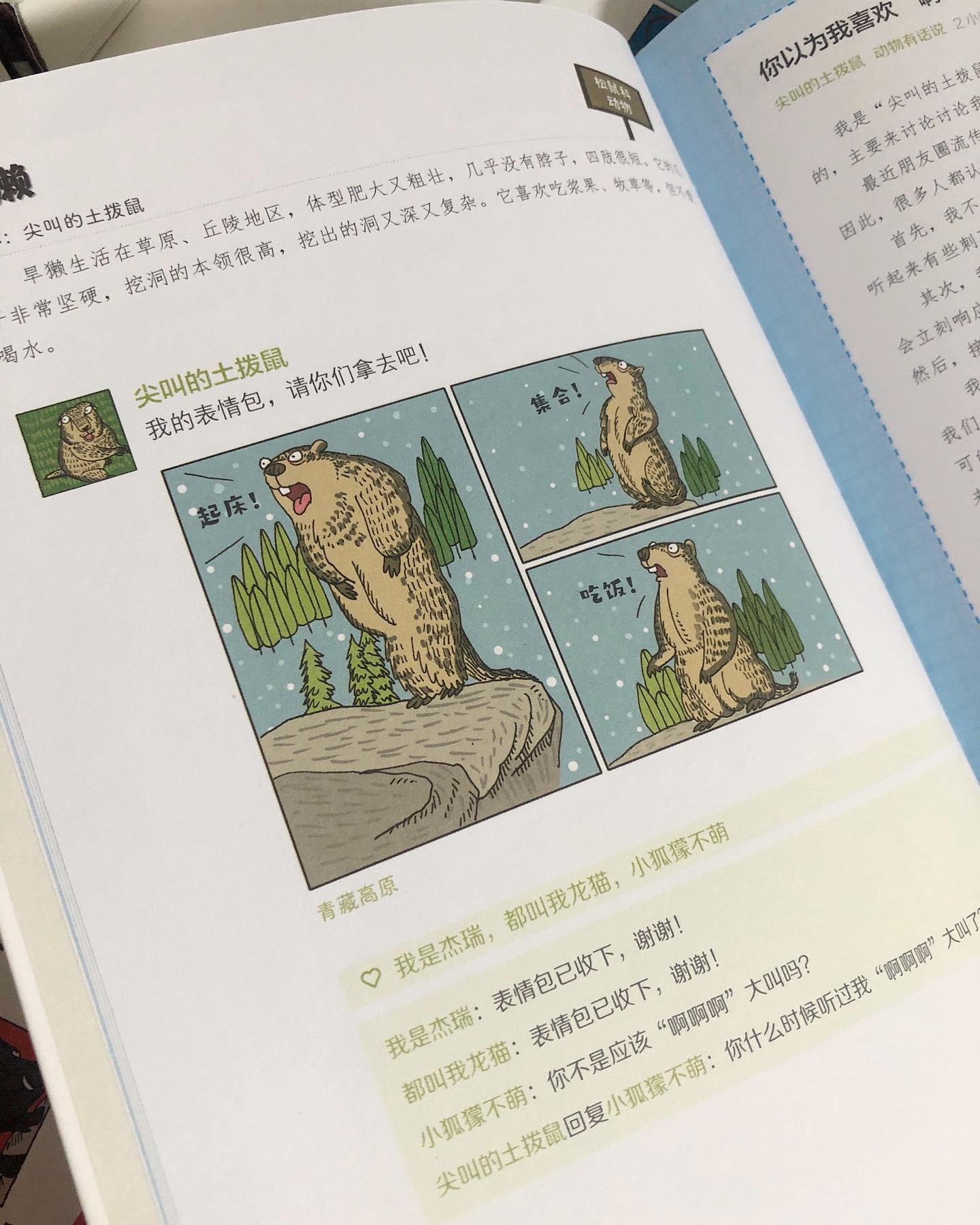 如果动物也有朋友圈