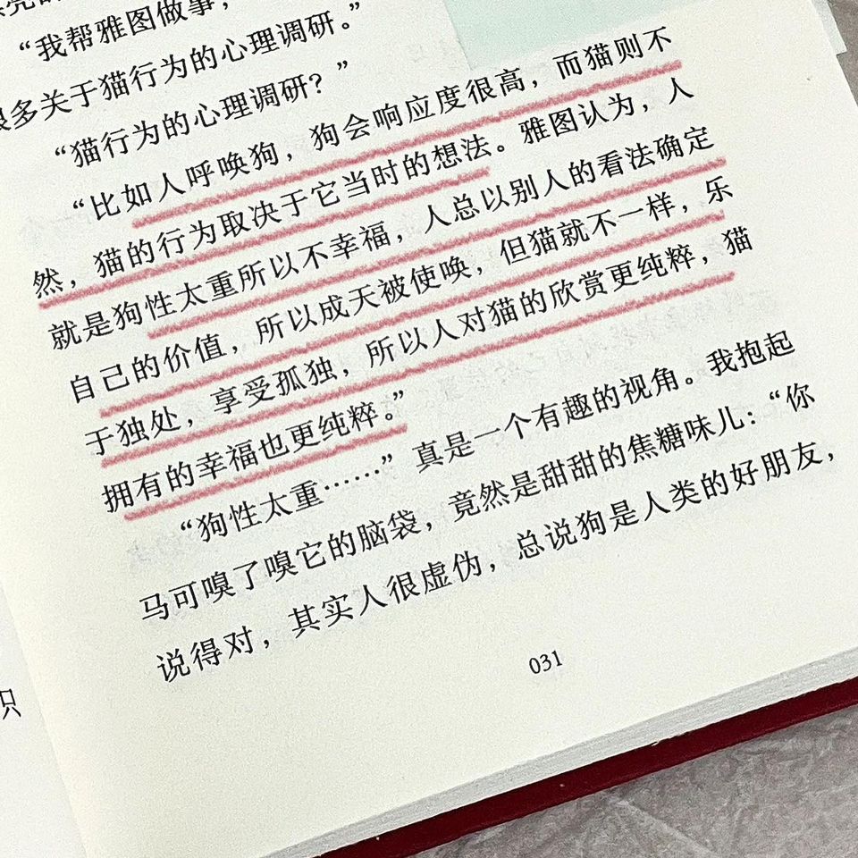 梨子小姐与自己相处