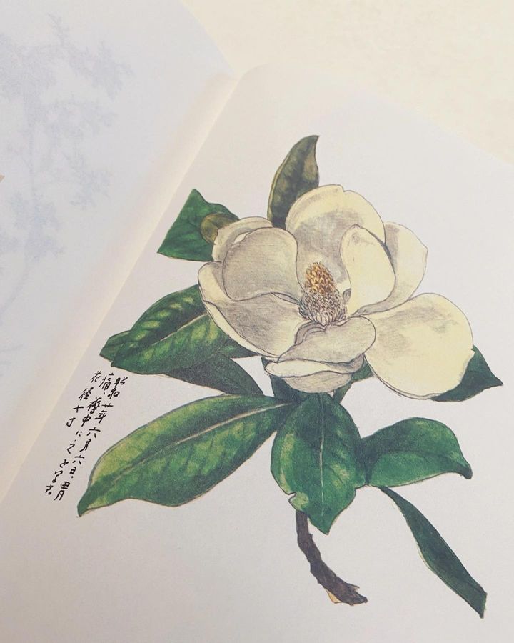 百花谱