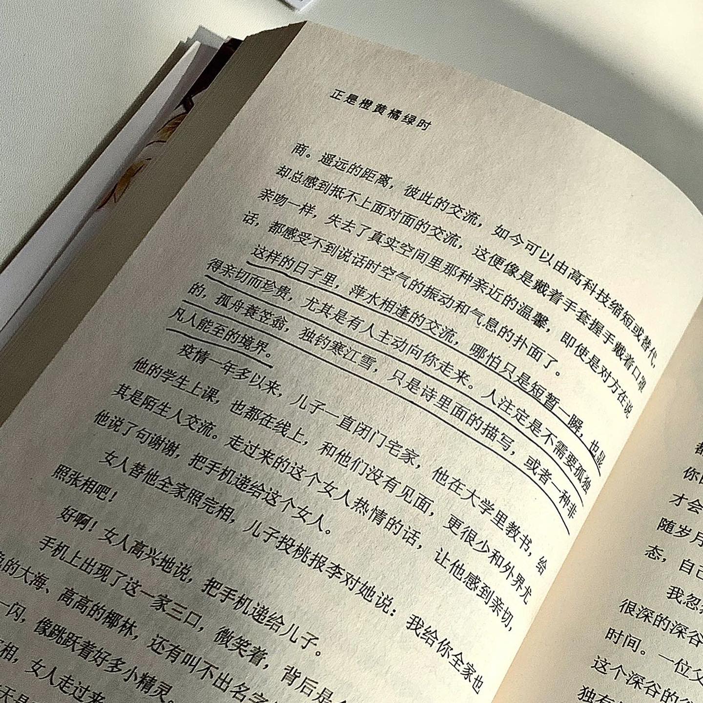 正是橙黄橘绿时