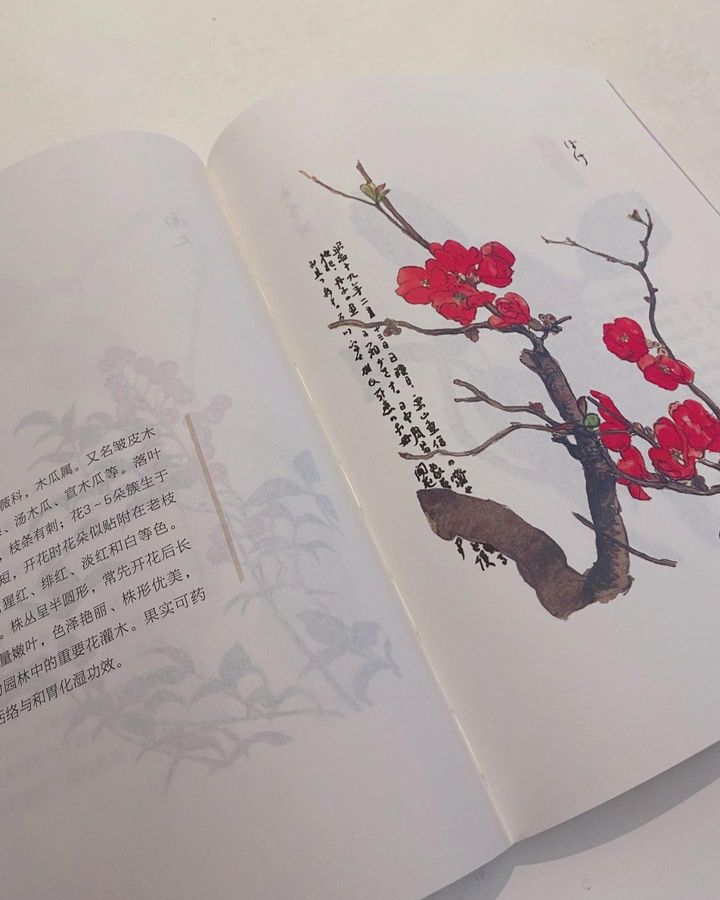 百花谱